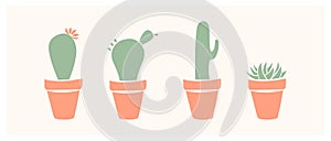 Set of cute cactus and succulents, vector illustration in flat style